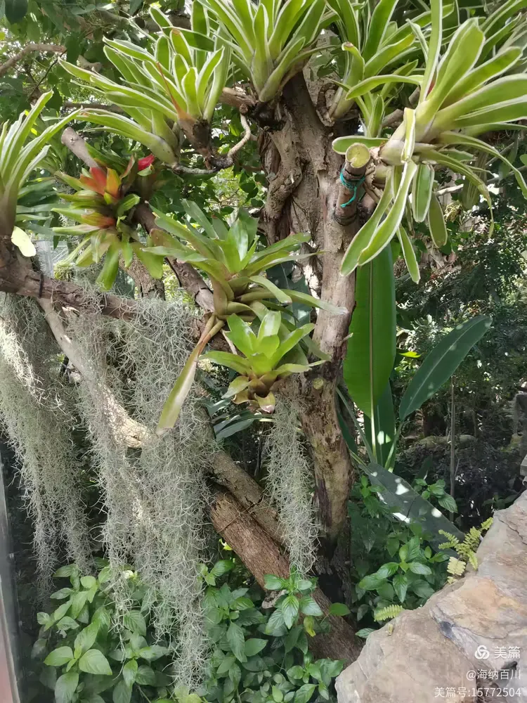 上海辰山植物园游记